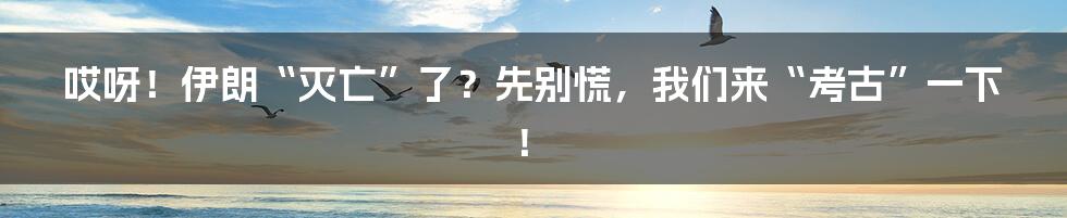 哎呀!伊朗“灭亡”了?先别慌,我们来“考古”一下!