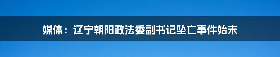 媒体:辽宁朝阳政法委副书记坠亡事件始末