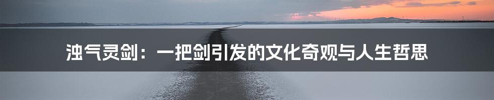 浊气灵剑：一把剑引发的文化奇观与人生哲思