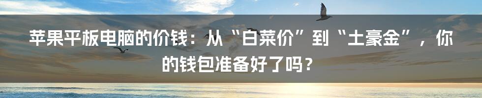 苹果平板电脑的价钱：从“白菜价”到“土豪金”，你的钱包准备好了吗？