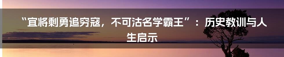 “宜将剩勇追穷寇,不可沽名学霸王”:历史教训与人生启示