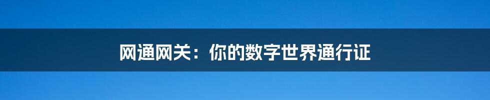 网通网关：你的数字世界通行证