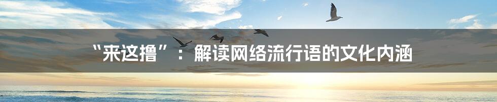 “来这撸”:解读网络流行语的文化内涵