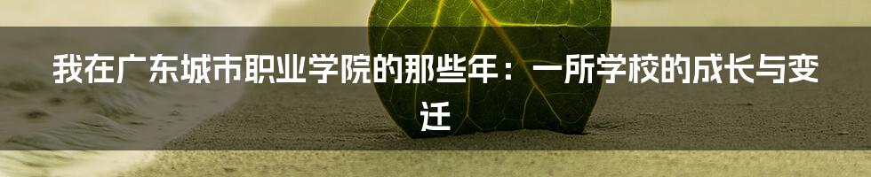 我在广东城市职业学院的那些年:一所学校的成长与变迁
