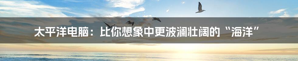 太平洋电脑:比你想象中更波澜壮阔的“海洋”