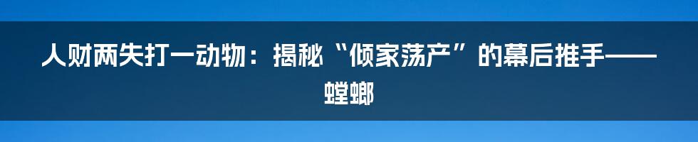 人财两失打一动物:揭秘“倾家荡产”的幕后推手——螳螂