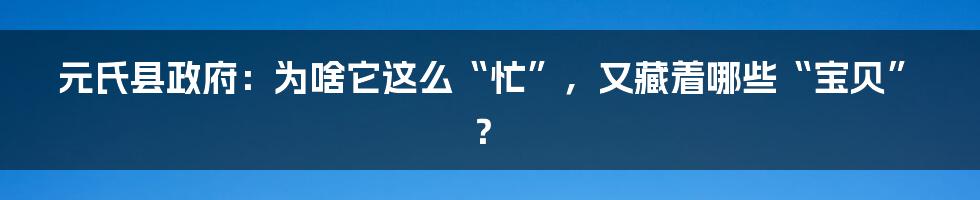 元氏县政府:为啥它这么“忙”,又藏着哪些“宝贝”?