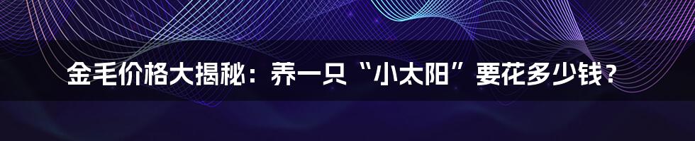 金毛价格大揭秘:养一只“小太阳”要花多少钱?