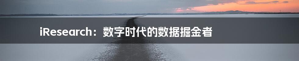 iResearch：数字时代的数据掘金者
