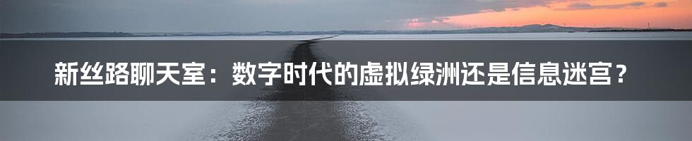 新丝路聊天室:数字时代的虚拟绿洲还是信息迷宫?