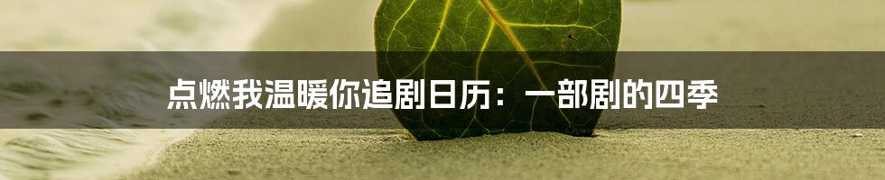 点燃我温暖你追剧日历:一部剧的四季