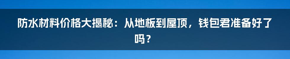 防水材料价格大揭秘:从地板到屋顶,钱包君准备好了吗?