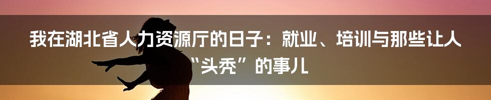 我在湖北省人力资源厅的日子:就业、培训与那些让人“头秃”的事儿