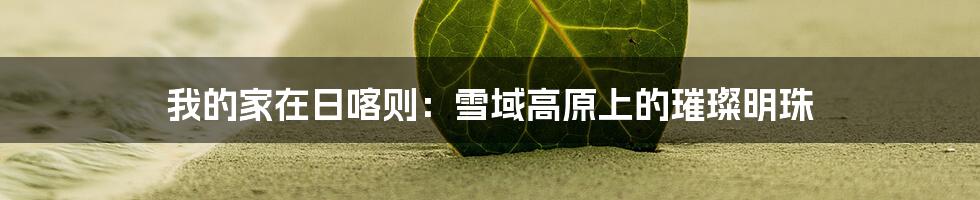 我的家在日喀则：雪域高原上的璀璨明珠