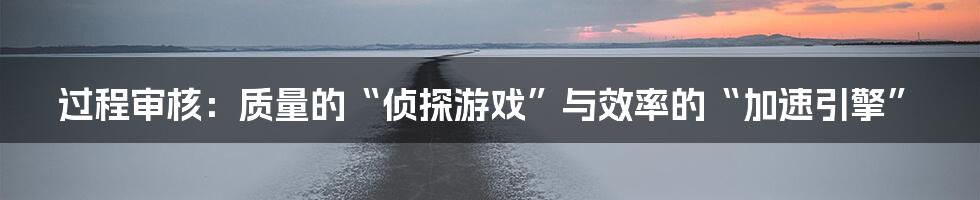 过程审核:质量的“侦探游戏”与效率的“加速引擎”