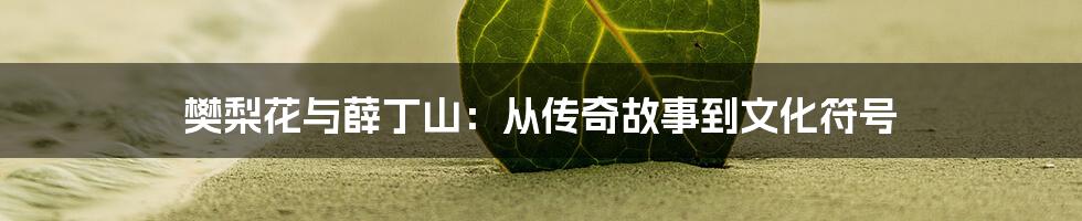 樊梨花与薛丁山:从传奇故事到文化符号