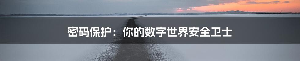 密码保护:你的数字世界安全卫士