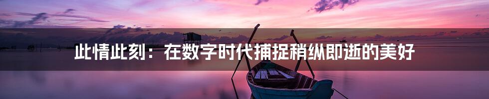 此情此刻:在数字时代捕捉稍纵即逝的美好