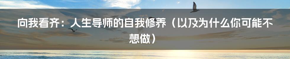 向我看齐:人生导师的自我修养(以及为什么你可能不想做)