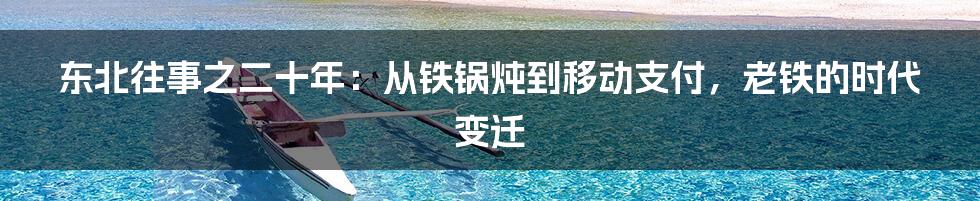 东北往事之二十年:从铁锅炖到移动支付,老铁的时代变迁
