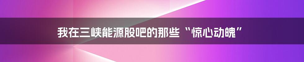 我在三峡能源股吧的那些“惊心动魄”