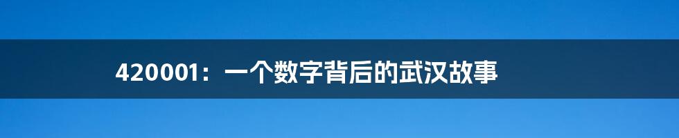 420001:一个数字背后的武汉故事