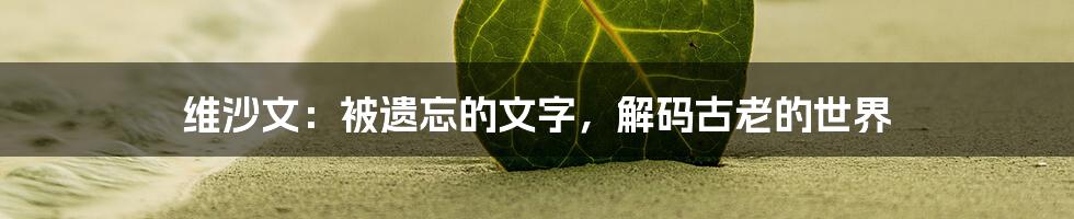维沙文：被遗忘的文字，解码古老的世界