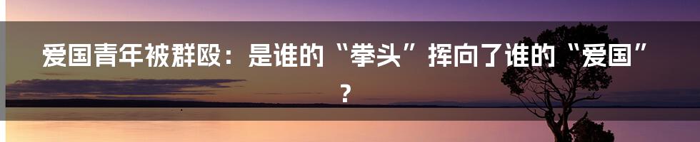爱国青年被群殴：是谁的“拳头”挥向了谁的“爱国”？