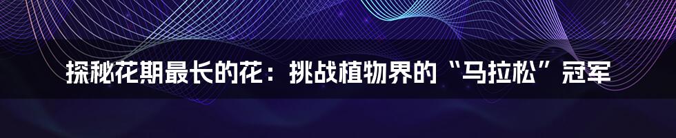 探秘花期最长的花:挑战植物界的“马拉松”冠军
