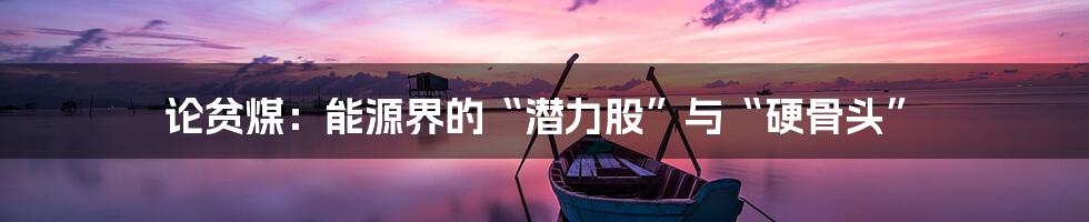 论贫煤:能源界的“潜力股”与“硬骨头”