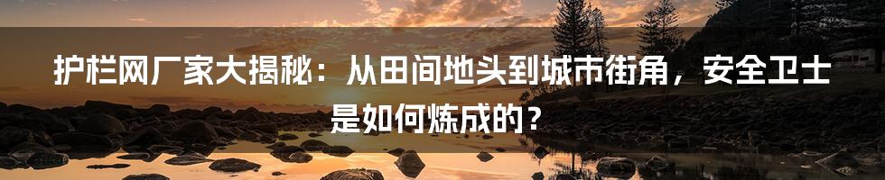 护栏网厂家大揭秘:从田间地头到城市街角,安全卫士是如何炼成的?