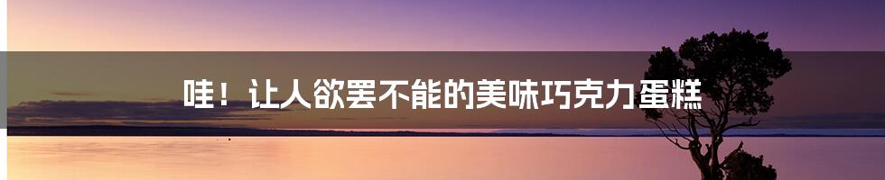 哇!让人欲罢不能的美味巧克力蛋糕