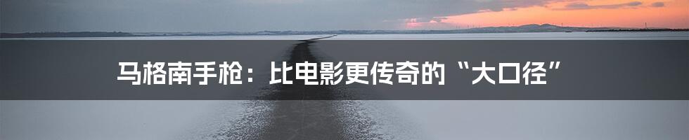 马格南手枪:比电影更传奇的“大口径”
