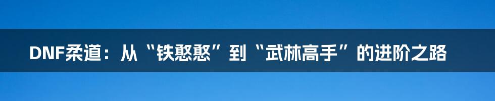 DNF柔道：从“铁憨憨”到“武林高手”的进阶之路