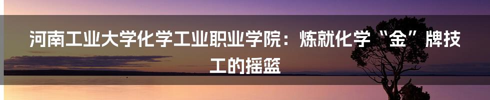 河南工业大学化学工业职业学院:炼就化学“金”牌技工的摇篮