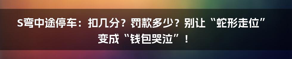 S弯中途停车:扣几分?罚款多少?别让“蛇形走位”变成“钱包哭泣”!