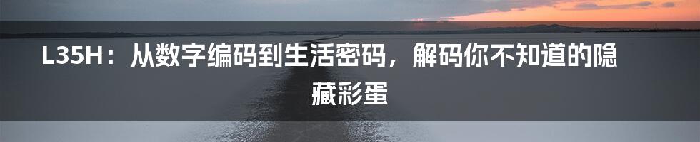 L35H:从数字编码到生活密码,解码你不知道的隐藏彩蛋