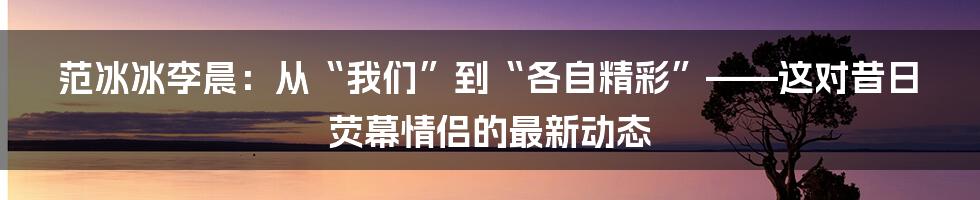 范冰冰李晨:从“我们”到“各自精彩”——这对昔日荧幕情侣的最新动态