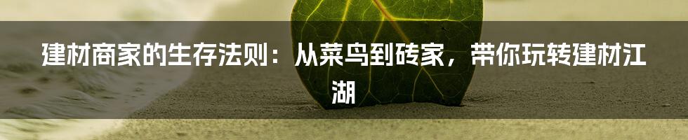 建材商家的生存法则：从菜鸟到砖家，带你玩转建材江湖