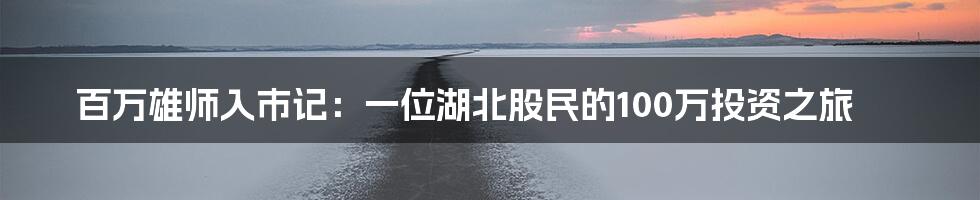 百万雄师入市记:一位湖北股民的100万投资之旅