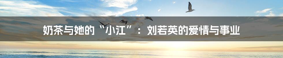奶茶与她的“小江”:刘若英的爱情与事业
