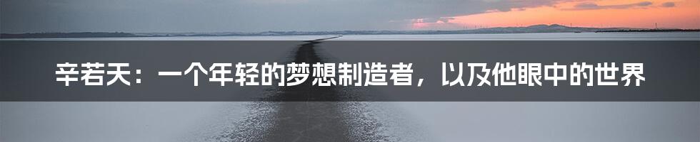 辛若天：一个年轻的梦想制造者，以及他眼中的世界