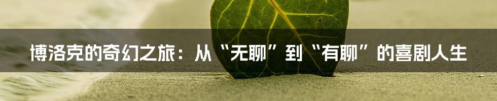博洛克的奇幻之旅:从“无聊”到“有聊”的喜剧人生