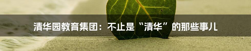 清华园教育集团:不止是“清华”的那些事儿