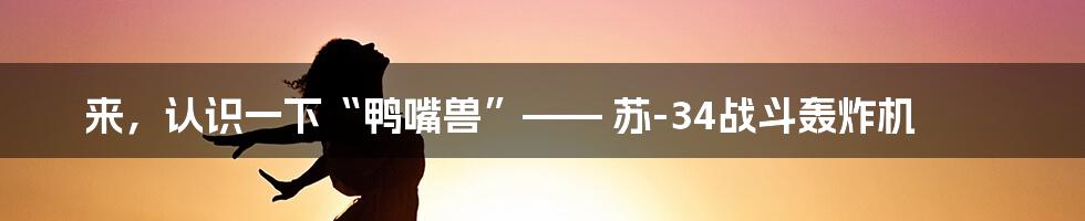 来,认识一下“鸭嘴兽”—— 苏-34战斗轰炸机