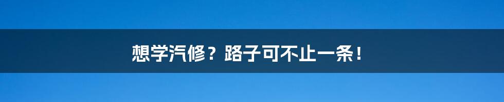 想学汽修?路子可不止一条!
