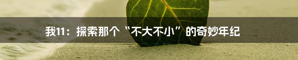 我11：探索那个“不大不小”的奇妙年纪
