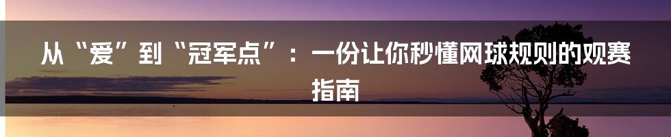 从“爱”到“冠军点”:一份让你秒懂网球规则的观赛指南