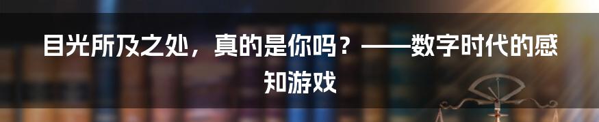 目光所及之处,真的是你吗?——数字时代的感知游戏