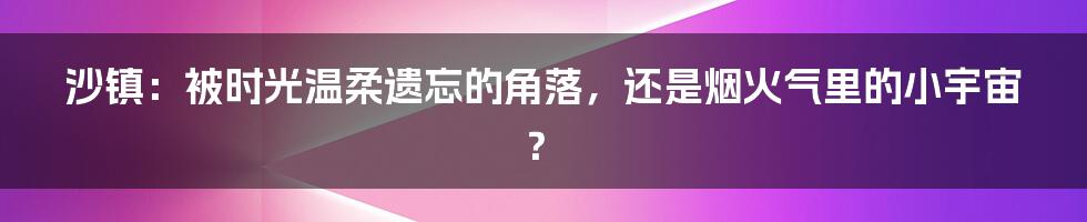 沙镇:被时光温柔遗忘的角落,还是烟火气里的小宇宙?